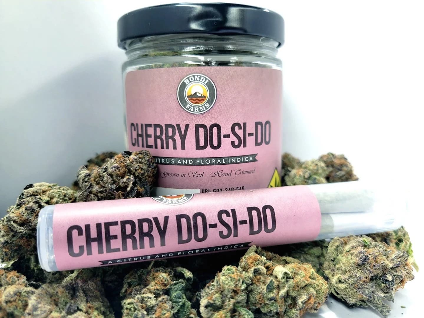 **10pk - .5g - Cherry Dosidos - Bondi - DOH Preroll - I