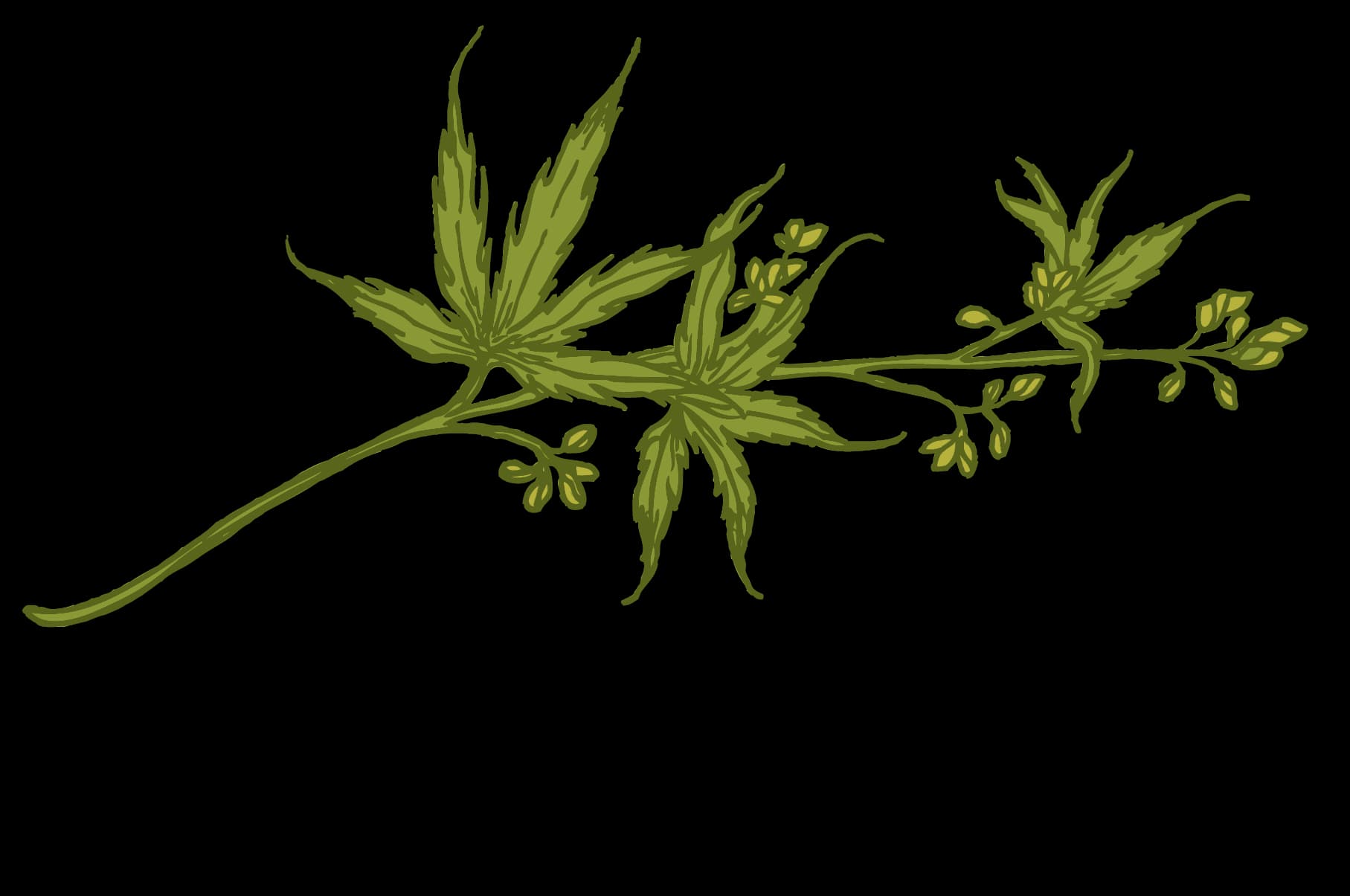 CRAFT ELIXIRS