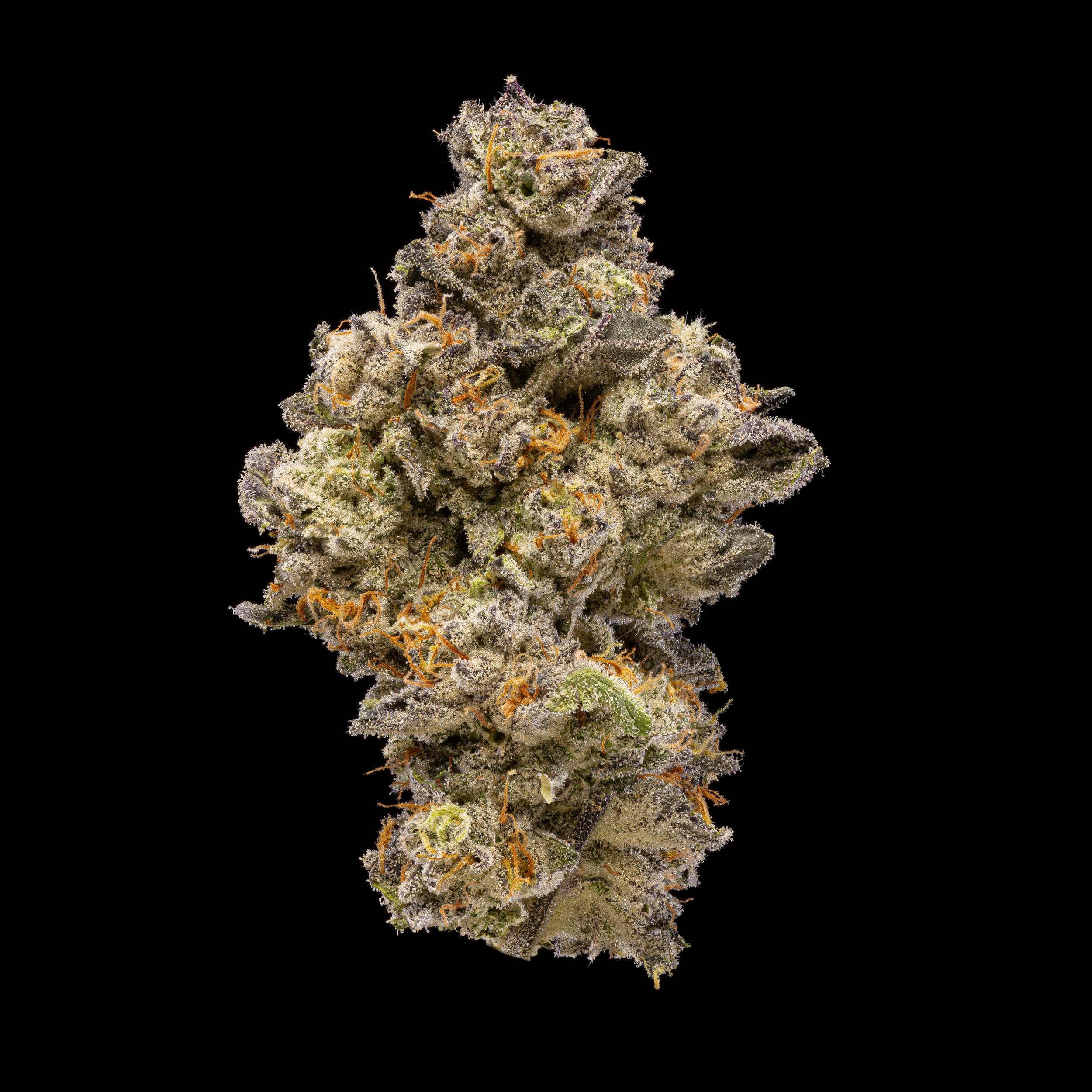 1g - Miracle Alien Cookies - Plaid Jacket - DOH Cartridge - 510 - Melted Diamonds + HTE - IH