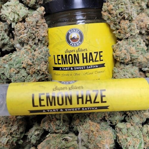 14g - Super Silver Lemon Haze - Bondi - DOH Flower - S