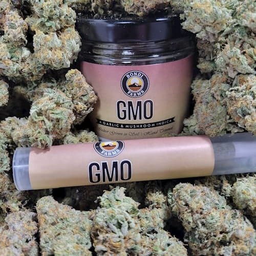 2pk - .5g - GMO - Bondi - Prerolls - DOH Compliant - H