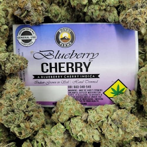 2pk - .5g - Blueberry Cherry - Bondi - Preroll Pack - DOH Compliant - I