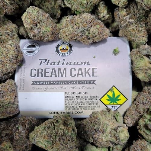 14g - Platinum Cream Cake - Bondi - DOH Flower - H