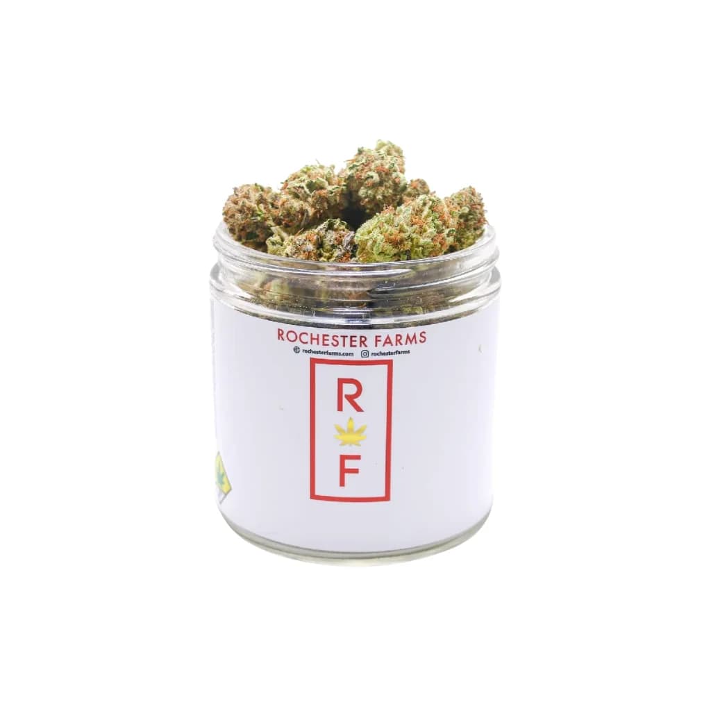 3.5g - Gas Runtz - Rochester Farms - DOH Flower - H