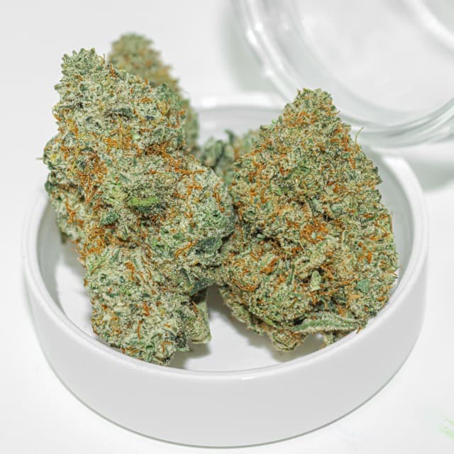 3.5g - Lemon Cherry Gelato - Rochester Farms - DOH Flower - I