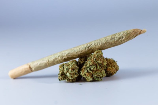 3pk - 1g - Mandarin Butter - Peak - Preroll  - SH