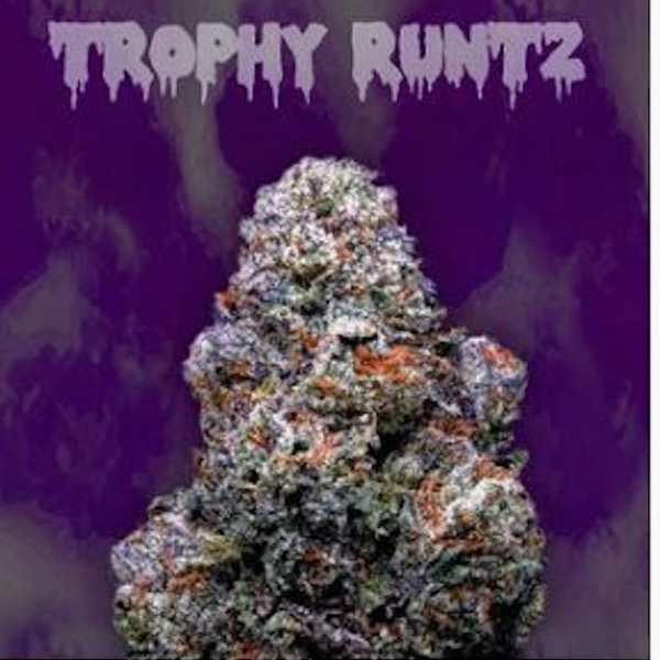14g - Trophy Runtz - Ooowee - DOH Flower - H