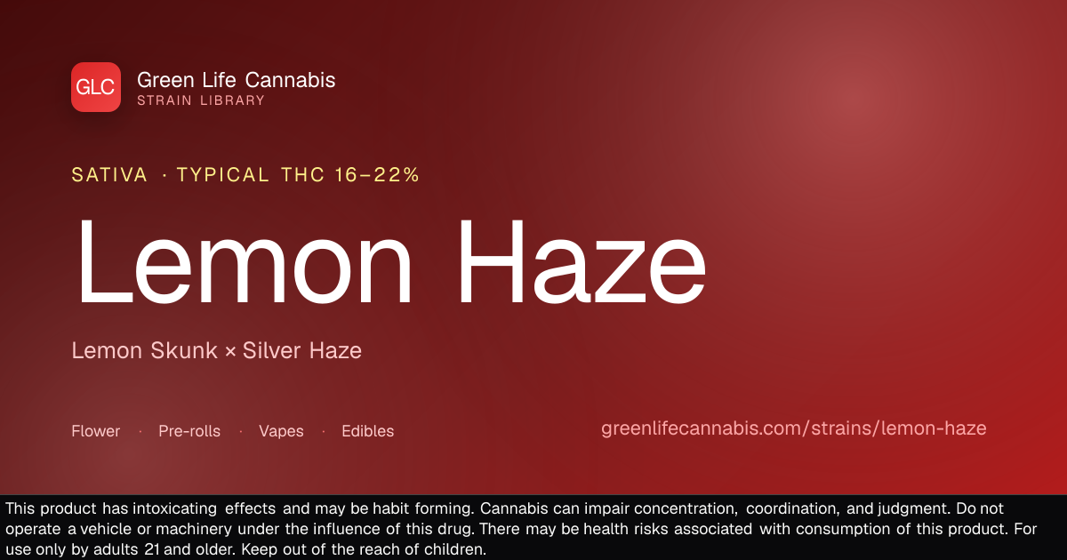 Lemon Haze strain (Sativa) — Green Life Cannabis