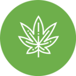 Green Life Cannabis Marijuana Dispensary Seattle Weed small green circle leaf